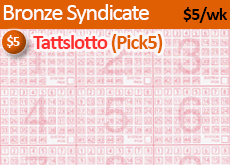 Bronze Lotto Syndicates